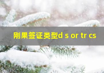 刚果签证类型d s or tr cs